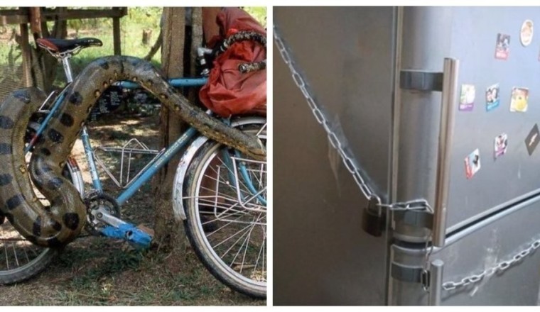 17 Hilariously Creative Anti-Theft Devices That Would Stump Thieves